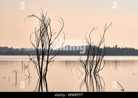 Natur am Geiseltalsee - ein ehemaliger Tagebau - in der Nähe von Merseburg, Sachsen-Anhalt, Deutschland Stockfoto