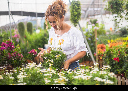 Junge Floristen arbeiten in einem Gewächshaus mit vielen Sämlinge bewundert das Wachstum der weißen Blüten wie Gänseblümchen, Konzept der Sorgfalt und Leidenschaft für die Natur Stockfoto