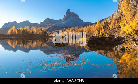 Federa See im Herbst mit gelben Lärchen um ihn herum, Croda da Lago, Cortina d Ampezzo, Belluno, Dolomiten, Venetien, Italien Stockfoto