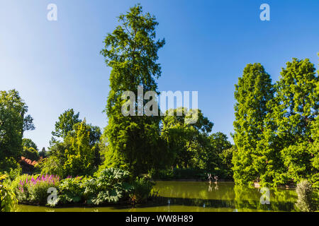 England, Surrey, Guildford, Wisley, der Royal Horticultural Society Garden, sieben Hektar großen Teich und die japanische Pagode Stockfoto