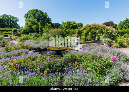 England, Surrey, Guildford, Wisley, der Royal Horticultural Society Garden, Blumen in voller Blüte Stockfoto