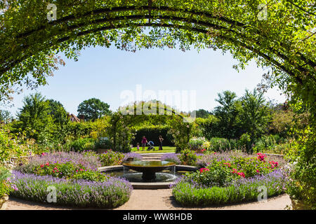 England, Surrey, Guildford, Wisley, der Royal Horticultural Society Garden, Blumen in voller Blüte Stockfoto