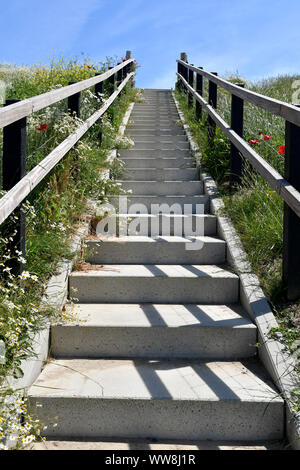 Eine Treppe, die auf die Spitze eines dke führt Die Insel Texel (Niederlande) Stockfoto