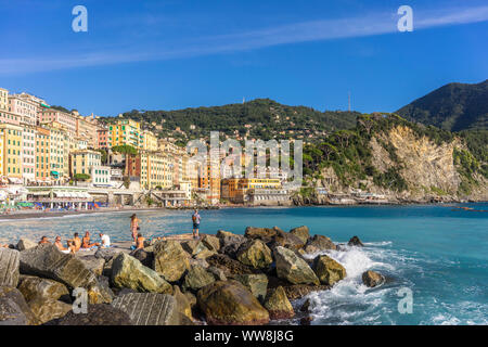 Bunte Häuser von Camogli im Sommer - ein italienisches Fischerdorf und Ferienort im Parco Naturale Regionale di Portofino, Ligurien, Italien Stockfoto