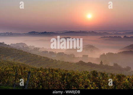 Zavrc, Weinberg, Weinbaugebiet, Hügel, Häuser in Haloze, Stajerska (Steiermark), Slowenien Stockfoto