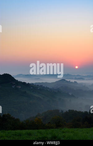 Zavrc, Weinberg, Weinbaugebiet, Hügel, Häuser in Haloze, Stajerska (Steiermark), Slowenien Stockfoto