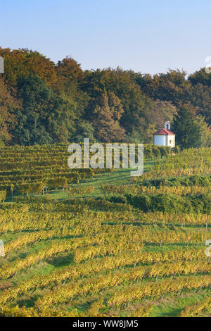 Zavrc, Weinberg, Weinbaugebiet, Hügel, Kapelle in Haloze, Stajerska (Steiermark), Slowenien Stockfoto