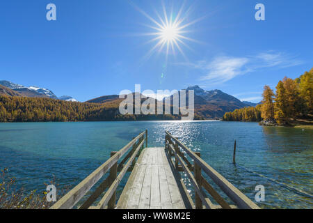 Holzsteg auf See mit Sonne im Herbst, See Silsersee, Sils im Engadin, Engadin, Graubünden, Schweiz, Alpen Stockfoto