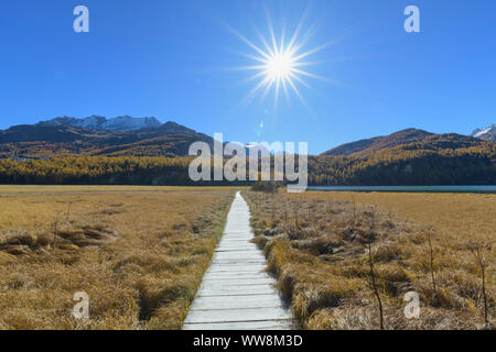 Promenade mit Sonne auf See Silsersee im Herbst, Sils im Engadin, Engadin, Graubünden, Schweiz, Alpen Stockfoto