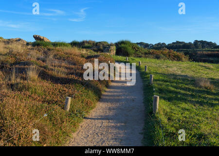 Küstenweg am Abend, Ploumanach, Cote De Granit Rose, Cotes-dArmor, Bretagne, Frankreich, Europa Stockfoto