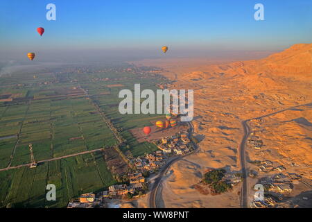 Heißluftballons über Frucht land und Wüste Kante in Theben-west, Luxor, Oberägypten, Ägypten Stockfoto