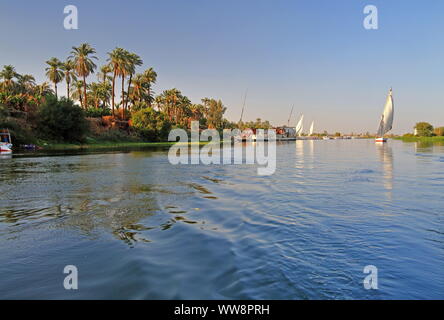 Flusslandschaft mit Segelboot, Feluke auf dem Nil, Luxor, Oberägypten, Ägypten Stockfoto