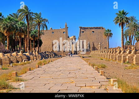 Sphinxallee mit Pylon, Obelisken und Statuen von Ramses II., den Tempel von Luxor, Luxor, Oberägypten, Ägypten Stockfoto