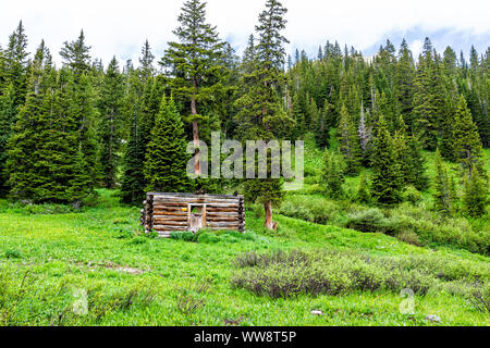 Verlassenen Hütte in der Nähe von Campingplatz auf Rätsel Creek Trail in Aspen, Colorado im Jahr 2019 Sommer mit Wiese Stockfoto