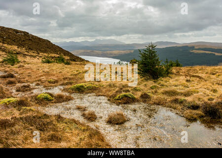 Die Ben mehr Hügel über Loch Frisa, von der Kante der Speinne Mòr, Isle of Mull, Schottland, Großbritannien Stockfoto