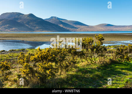 Die Ben mehr Hügel vom Kopf des Loch na Keal in der Nähe von Killiechronan, Isle of Mull, Schottland, Großbritannien Stockfoto