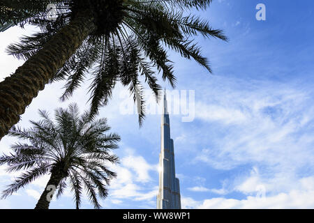 Blick auf den herrlichen Burj Khalifa von einigen Palmen im Vordergrund eingerahmt. Der Burj Dubai, der höchste Turm der Welt. Stockfoto