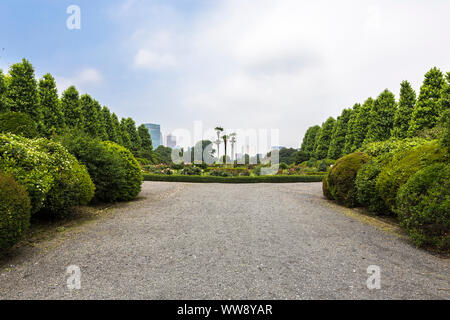 Shinjuku Gyoen National Garten ist ein großer Park und Garten in Shinjuku und Shibuya, Tokio, Japan Stockfoto