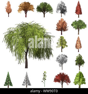 Baum Korrektur design.. 3D-Darstellung. Weißer Hintergrund isolieren. Natur und Gärten Design. Stockfoto