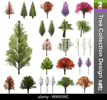 Baum Korrektur design.. 3D-Darstellung. Weißer Hintergrund isolieren. Natur und Gärten Design. Stockfoto