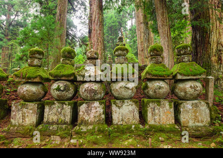 Wakayama, Japan - 23 Juli 2019: alte Grabsteine mit Moos bewachsen. Stockfoto