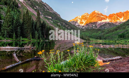 Gruppe von gelben daisy flowers Wildblumen in Panoramablick auf Maroon Bells See orange sunrise in Aspen, Colorado mit Mond Stockfoto