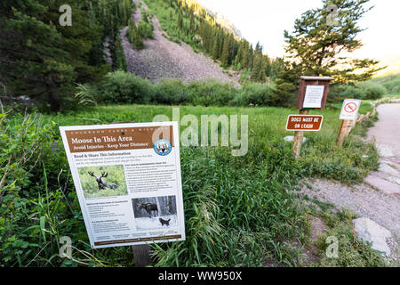 Aspen, USA - 19. Juli 2019: Maroon Bells Trail in Colorado Sommer und Zeichen für Elche und Hunde an der Leine Weitwinkel closeup Stockfoto