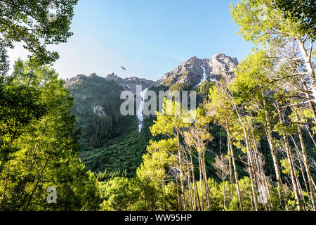 Maroon Bells Crater Lake wanderung Trail mit Blick auf den Sonnenaufgang und den Vogel fliegen durch Berg in Aspen, Colorado im Sommer Stockfoto