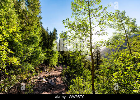 Maroon Bells Crater Lake wanderung Trail mit Sonnenaufgang Sonnenstrahlen in Aspen, Colorado in den Rocky Mountains im Sommer durch Baum im Wald von Fußweg Stockfoto