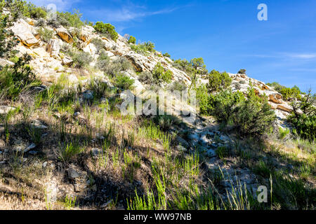 Blick auf die Felsen von der Wüste Voices Nature Trail und Split Mountain Campground im Sommer im Dinosaur National Monument Park, Utah Stockfoto