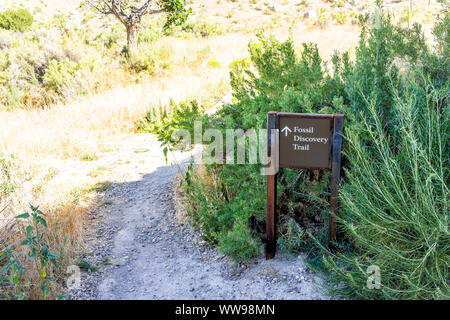 Fossil Discovery Trail anmelden, indem Steinbruch Besucherzentrum Ausstellungshalle im Sommer in Utah Dinosaur National Monument Park Stockfoto