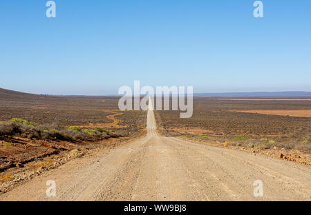 Die Straße verschwindet in den Horizont im nördlichen Kap, Südafrika Stockfoto