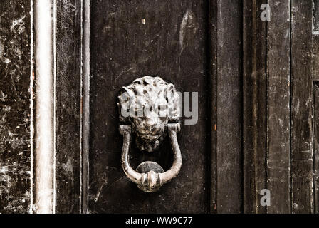 Lion Klopfer an der alten Holztür, grunge Hintergrund Stockfoto