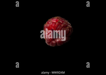 Eine Beere von roten Himbeeren liegt auf einem schwarzen Hintergrund oben Ansicht schließen isoliert. Sweet Summer Beeren close-up. Stockfoto