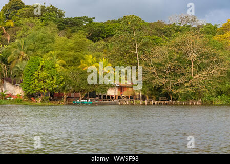 Costa Rica, typisches Haus am Fluss, in Tortuguero, Tierwelt im Mangrove Stockfoto