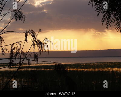 Sonnenuntergang am See Hawasa Äthiopien Stockfoto