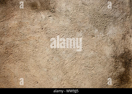Grobe Zement Wand Textur mit Pilz Stockfoto