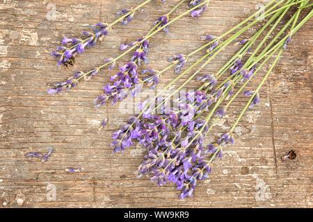 In der Nähe von kleinen Haufen von schönen, frisch geschnittenen Lavendelblüten auf alten grob strukturierte natürlichen hölzernen Tisch Oberfläche. Blick von direkt über. Horiz. Stockfoto