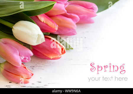 Rosa und weißen Tulpen auf alten weißen Holz Hintergrund Stockfoto