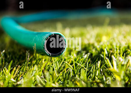 Der Mund der Kunststoff, grünes Wasser Schlauch mit kein Wasser, um das grüne Gras unter kommenden Stockfoto