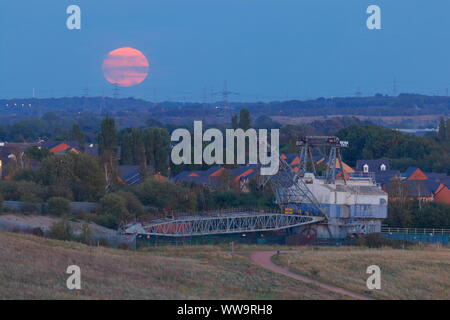 Die Ernte Vollmond am Freitag, dem 13. September mit Bucyrus Erie erhalten wandern Seilbagger bei RSPB St Aidan's Stockfoto