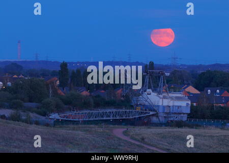 Die Ernte Vollmond am Freitag, dem 13. September mit Bucyrus Erie erhalten wandern Seilbagger bei RSPB St Aidan's Stockfoto