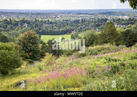 Gatton park Reigate Hill, Reigate, Surrey Stockfoto