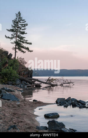 Einsamer Baum auf dem See Küste bei Sonnenaufgang Stockfoto
