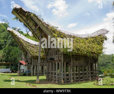 Traditionelle Häuser, Kete Kesu, Toraja, Sulawesi, Indonesien Stockfoto