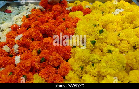 Haufen von schönen Orange und Gelb Farbe ringelblume Blumen für den Verkauf in einem super Markt für Girlanden verwendet werden und die erfassten Zoom für Wünsche, Bilder Stockfoto