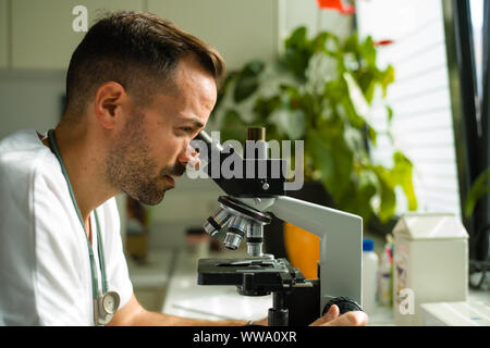 Blick durch das Mikroskop Stockfoto