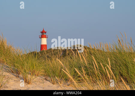 Leuchtturm List Ost auf der Insel Sylt, Deutschland Stockfoto