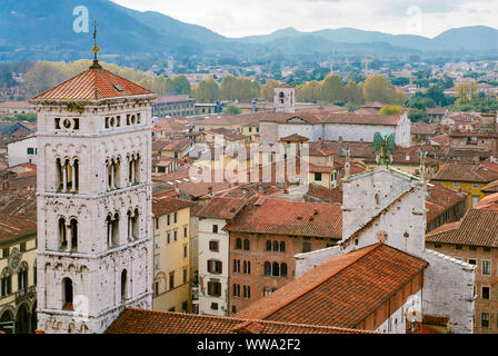 Ansicht von oben von Lucca in der obersten italienischen roten Dächer Landschaft Stockfoto