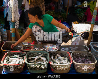 Fisch, Markt, Rantepao, Sulawesi, Indonesien Stockfoto